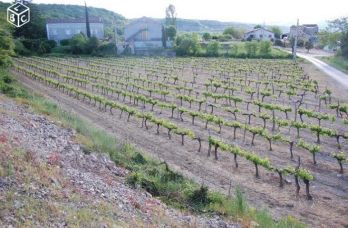 terrain constructible de 2500m²