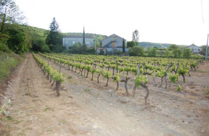 Photo terrain constructible de 2500m² 551