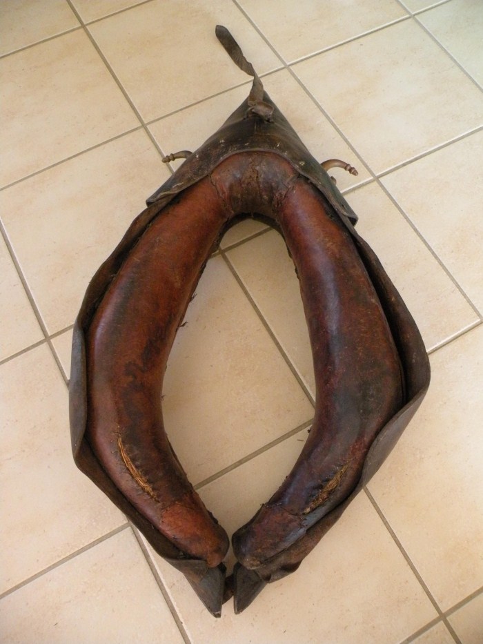 Collier de cheval