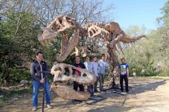 Un T-Rex au Muséum de l’Ardèche de Balazuc 201