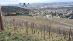 Des drones pour traiter les vignes en Ardèche 202