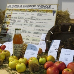 Fête des Fruits Retrouvés d'Ardèche 2013