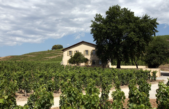 Photo CAVE DE TAIN L'HERMITAGE