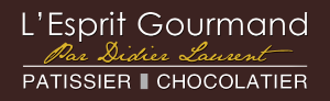 Logo Didier Laurent