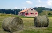 Photo Gites La Petite Scierie ( en Montagne Ardéchoise )