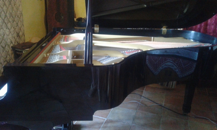 Piano demi queue C5 Yamaha