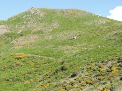 Chaussée des géants