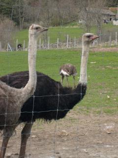 ferme en ferme Ardeche