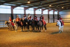 NOËL AU HARAS DE BRESSAC 2016