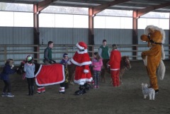 ARBRE DE NOËL AU HARAS DE BRESSAC 2016