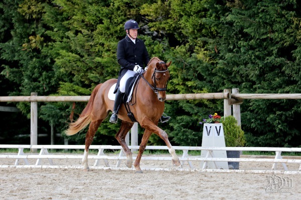 EQUITATION PRIVAS : DRESSAGE DE HAUT NIVEAU AU HAR