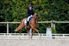 EQUITATION PRIVAS : DRESSAGE DE HAUT NIVEAU AU HAR