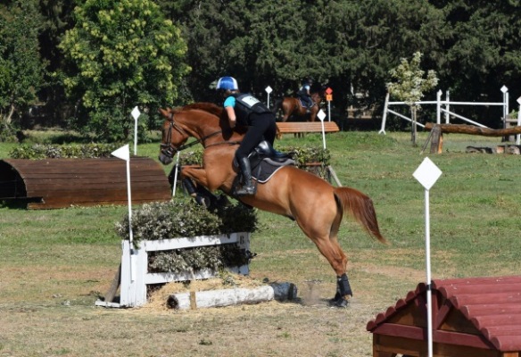 EQUITATION PRIVAS :LAURE GIRARD-BUTTOZ EST QUALIFI