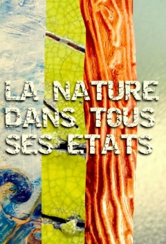 EXPOSITION LES QUINCONCES 2017 : La Nature dans to
