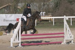 RÉSULTATS PRIVAS EQUITATION SAUTS D’OBSTACLES A