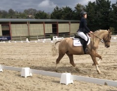 EQUITATION PRIVAS : CONCOURS DE DRESSAGE DE PRIVAS