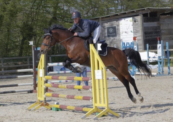 EQUITATION PRIVAS : DES VICTOIRES EN SAUTS D’OBS