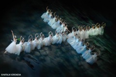 BALLET LES QUINCONCES 2020 : GISELLE