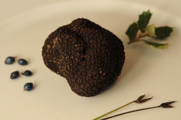 Saveurs de Truffes et vins d’Ardèche 2021