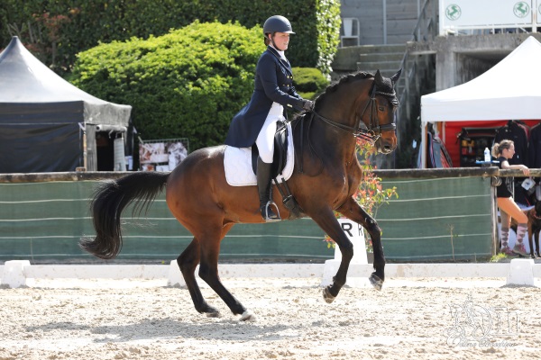 grand regionnal dressage privas 2019