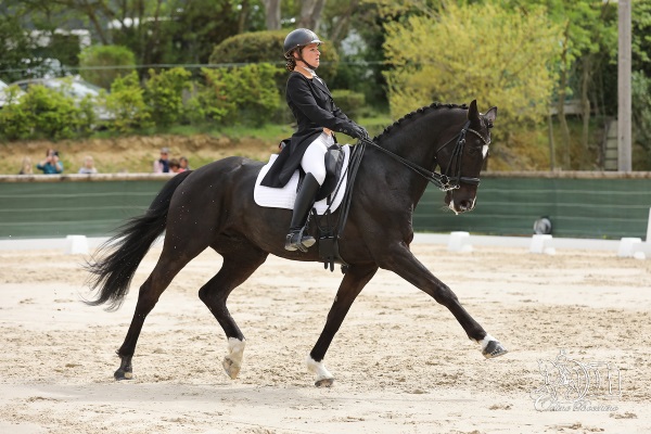 grand regionnal dressage privas 2019