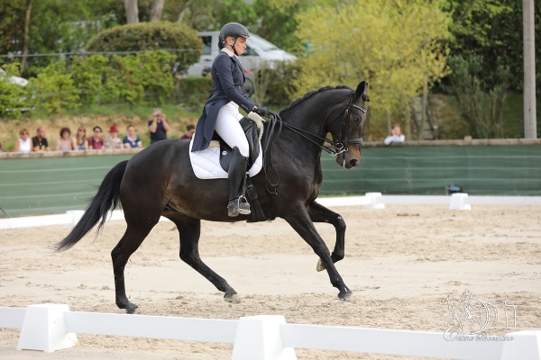 grand regionnal dressage privas 2019