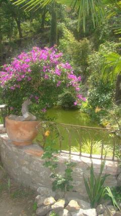 Le Jardin D'Eden Tournon