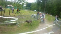 PRESENTATION DU CLUB DE CANICROSS EN ARDECHE