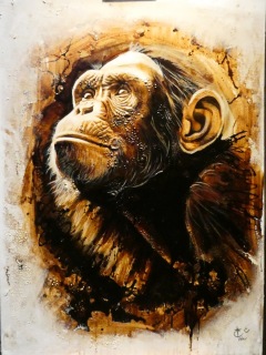 EXPOSITION LES QUINCONCES 2025 : « Les portraits 