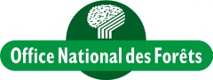 Profiter de l’été en forêt - 2025