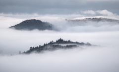 EXPOSITION LES QUINCONCES 2025 : Audrey Rolland