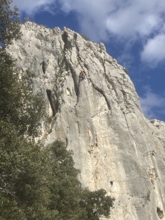 Déséquipement de voies d’escalade 2025