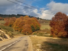 Prendre soin de soi au rythme des saisons 2026