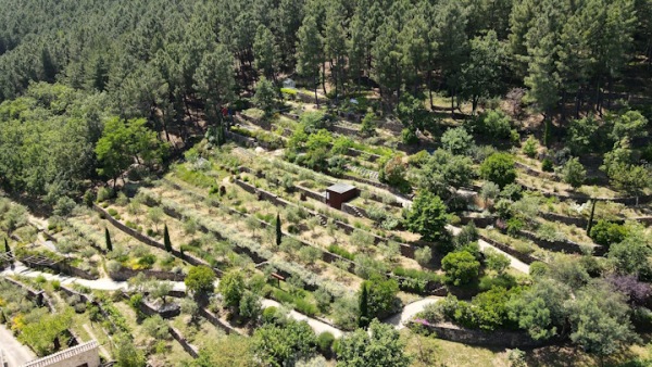 Le Jardin de Mercurart obtient le label « Jardin 