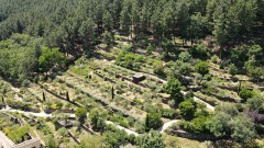 Le Jardin de Mercurart obtient le label « Jardin 