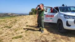 Profiter de l’été en forêt : les bons gestes 