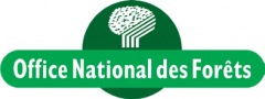 La forêt à portée de clic - 2026