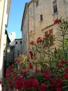 VILLAGE D'ARDECHE : VIVIERS