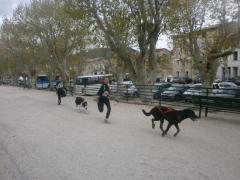 CTNI07, TRAIL DROME LAFUMA : RÉSULTATS