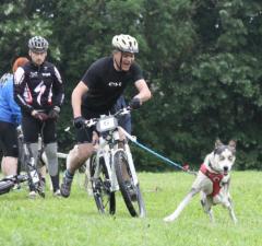 CHAMPIONNATS FÉDÉRAUX DE CANICROSS & CANIVTT