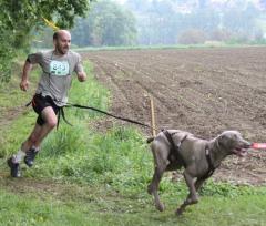CHAMPIONNATS FÉDÉRAUX DE CANICROSS & CANIVTT