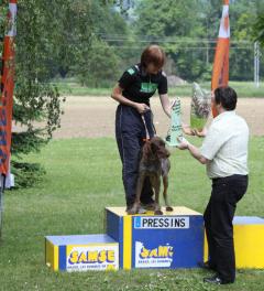 CHAMPIONNATS FÉDÉRAUX DE CANICROSS & CANIVTT