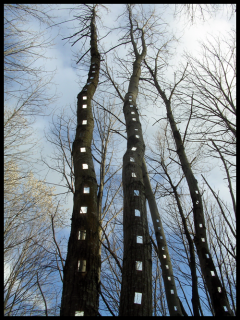 sentier art nature jaujac