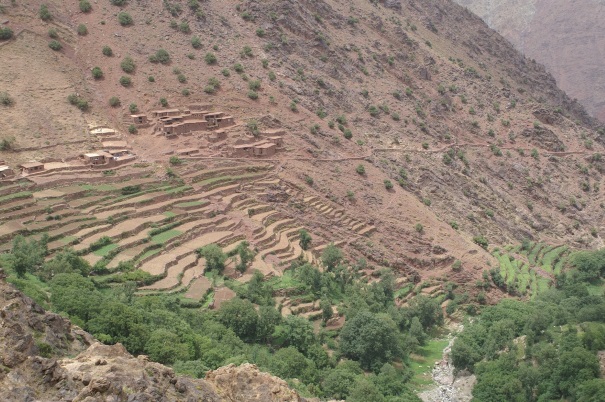 Terrasses Maroc