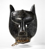 Lion Afrique