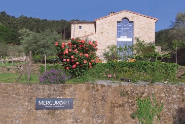 Mercurart Galerie