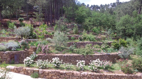 Jardin Mercurart Galerie