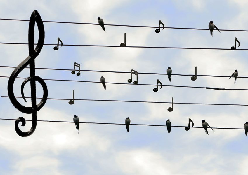 Fête de la musique - Borée