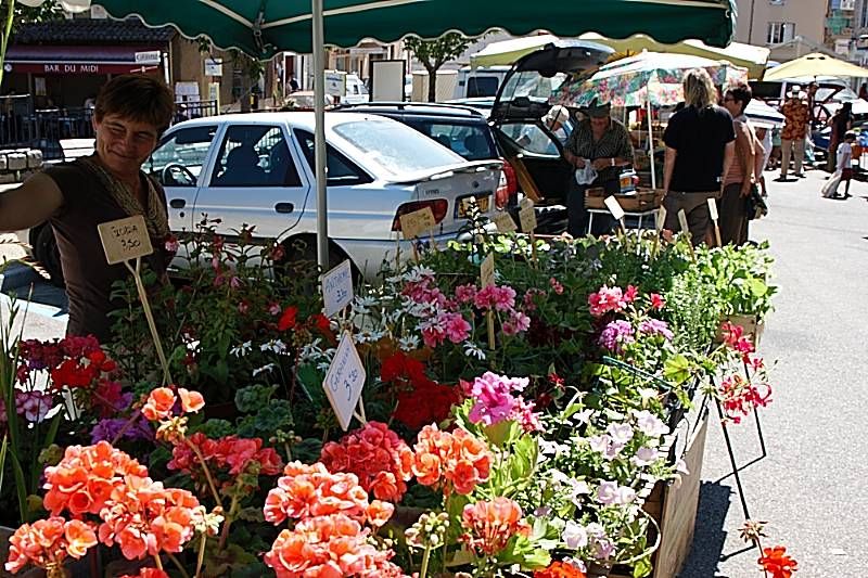 Marché de Saint Félicien - Saint-Félicien