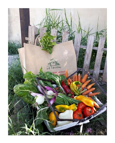 Marché local et de saison : Vente directe de légume bio - Cruas